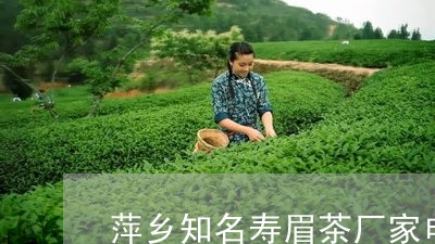 萍乡知名寿眉茶厂家电话/2023032841705