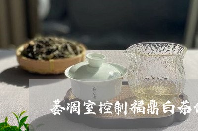 萎凋室控制福鼎白茶做法/2023032845036