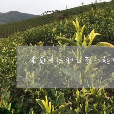 葡萄可以和白茶一起喝吗/2023032836260