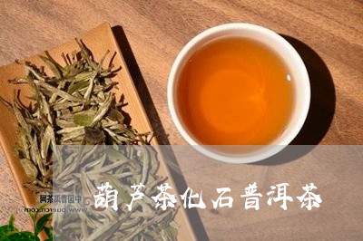 葫芦茶化石普洱茶/2023031652603