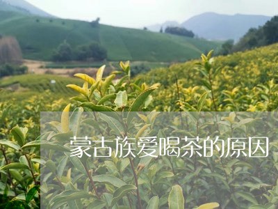 蒙古族爱喝茶的原因/2023041707930