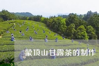 蒙顶山甘露茶的制作/2023032105148