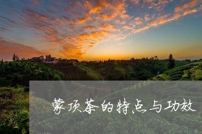 蒙顶茶的特点与功效/2023032162625