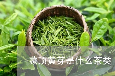 蒙顶黄芽是什么茶类/2023032153926