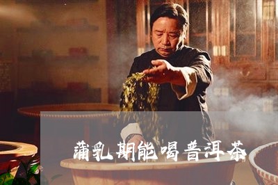 蒲乳期能喝普洱茶/2023033189695