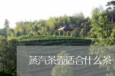 蒸汽茶壶适合什么茶/2023041653726