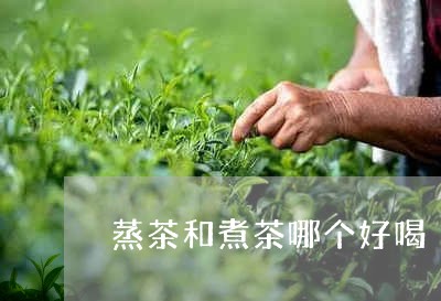 蒸茶和煮茶哪个好喝/2023031953836