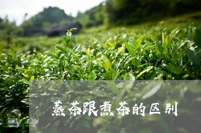 蒸茶跟煮茶的区别/2023032571604