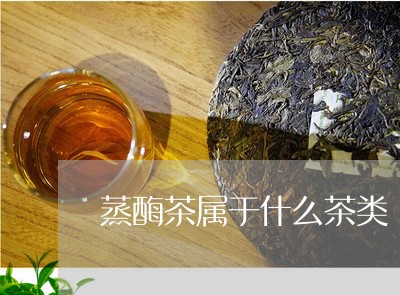 蒸酶茶属于什么茶类/2023032159492