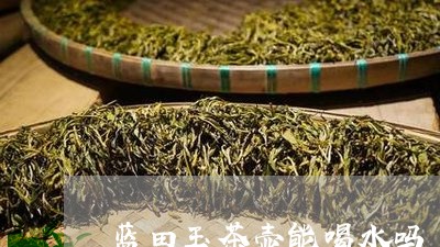 蓝田玉茶壶能喝水吗/2023031858571