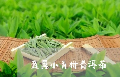 蓝翼小青柑普洱茶/2023033082682