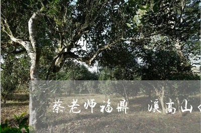 蔡老师福鼎磻溪高山白茶/2023032842915