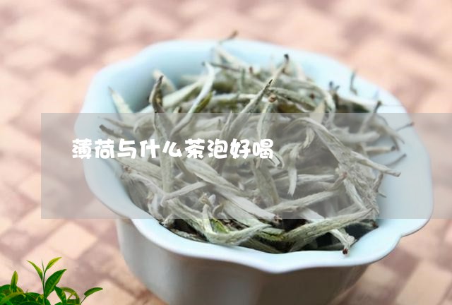 薄荷与什么茶泡好喝/2023041592846