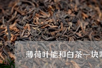 薄荷叶能和白茶一块喝吗/2023032819627