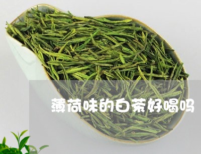 薄荷味的白茶好喝吗/2023032888371