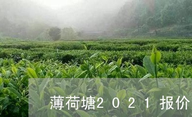 薄荷塘2021报价/2023041660603