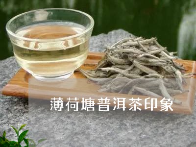 薄荷塘普洱茶印象/2023041357470