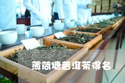 薄荷塘普洱茶得名/2023041064030