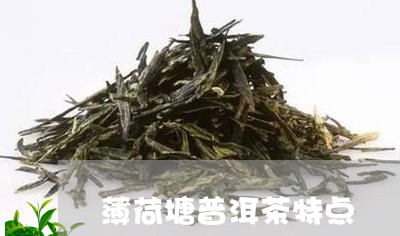 薄荷塘普洱茶特点/2023041318353