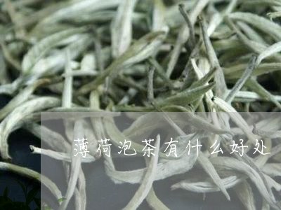 薄荷泡茶有什么好处/2023041637390