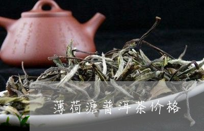 薄荷溏普洱茶价格/2023041118152