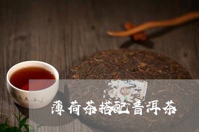 薄荷茶搭配普洱茶/2023041349472