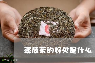 薄荷茶的好处是什么/2023032139694