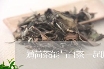 薄荷茶能与白茶一起喝吗/2023032890626