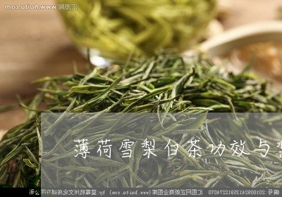 薄荷雪梨白茶功效与禁忌/2023032814958