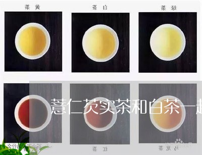 薏仁芡实茶和白茶一起喝/2023032873636