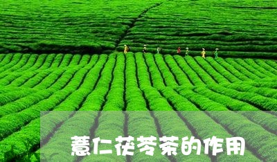 薏仁茯苓茶的作用/2023032410605