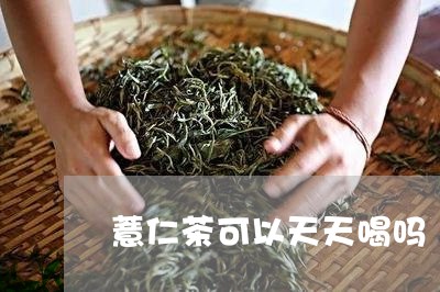 薏仁茶可以天天喝吗/2023041452938