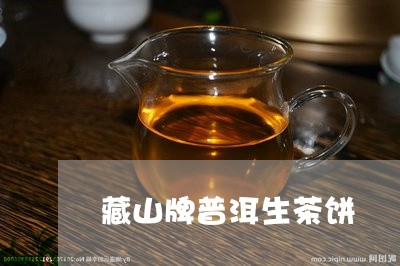 藏山牌普洱生茶饼/2023032978461