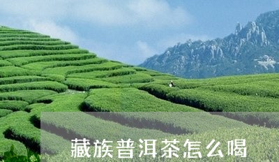 藏族普洱茶怎么喝/2023041047041