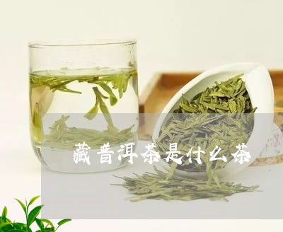 藏普洱茶是什么茶/2023041125150