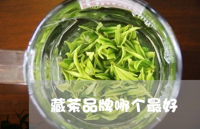 藏茶品牌哪个最好/2023032408597