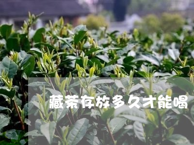 藏茶存放多久才能喝/2023041666248