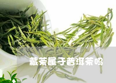 藏茶属于普洱茶吗/2023041185148