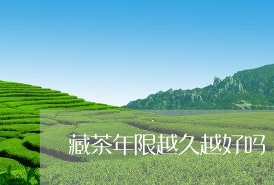 藏茶年限越久越好吗/2023041696020