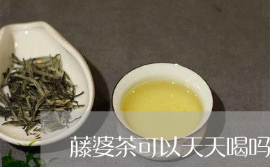 藤婆茶可以天天喝吗/2023041431603