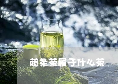 藤条茶属于什么茶/2023032527159