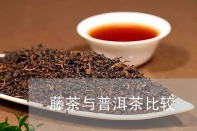 藤茶与普洱茶比较/2023041152927