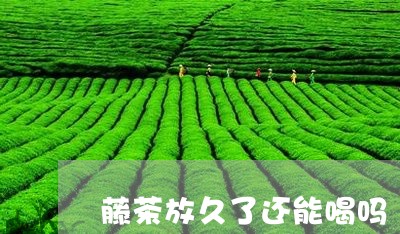 藤茶放久了还能喝吗/2023031882925