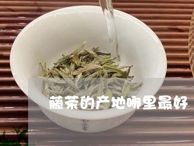 藤茶的产地哪里最好/2023041667382