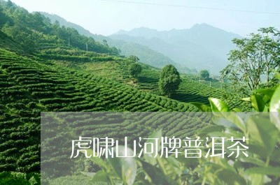 虎啸山河牌普洱茶/2023031685847