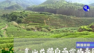 虞山兴福白茶价格表图片/2023032871603