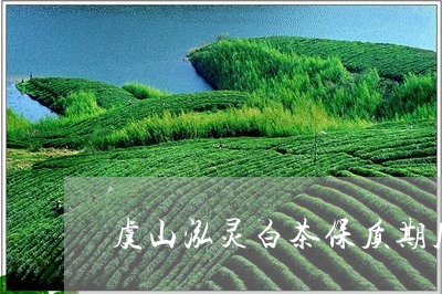 虞山泓灵白茶保质期几年/2023032831583