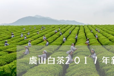 虞山白茶2017年新茶价/2023033048370