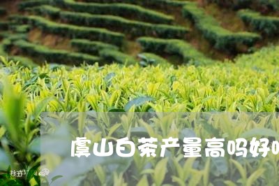 虞山白茶产量高吗好喝吗/2023032859391