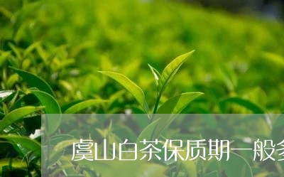 虞山白茶保质期一般多久/2023032815948